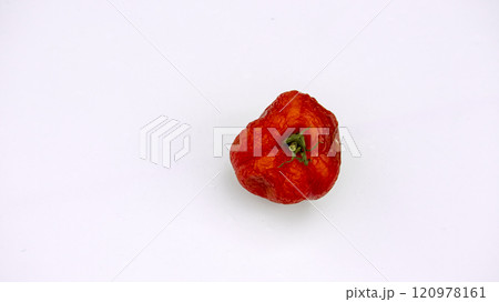 red rotten tomato on white background, isolated subject red rotten tomato on white background, isolated subject 120978161