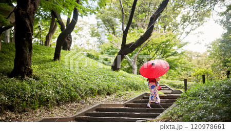Kimono, park and umbrella with woman on steps to explore green location for sightseeing or tourism. Back, fashion and travel with person walking in nature of Japan for culture, holiday or vacation Kimono, park and umbrella with woman on steps to explore green location for sightseeing or tourism. Back, fashion and travel with person walking in nature of Japan for culture, holiday or vacation 120978661