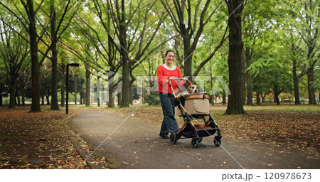 Park, woman and happy with dog on stroller for exercise, health or bonding in Japan. Outdoor, walking and female person as pet owner with animal for friendship, love and care with smile for adoption 120978673