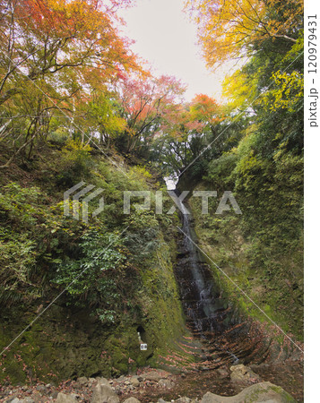 紅葉した養老渓谷 120979431