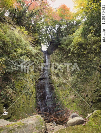 紅葉した養老渓谷 120979433