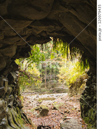 紅葉した養老渓谷 120979435