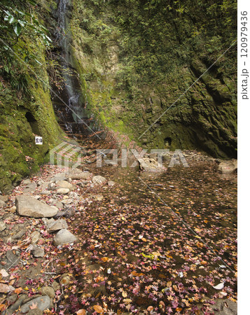 紅葉した養老渓谷 120979436