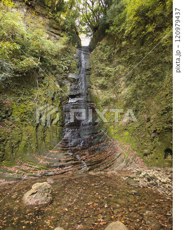 紅葉した養老渓谷 120979437