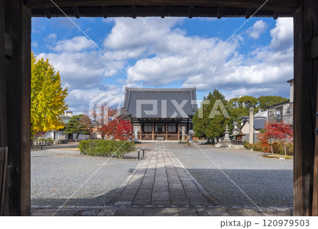 秋の京都　妙覺寺（妙覚寺）　大門の先にある祖師堂 120979503