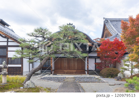 秋の京都 妙覺寺(妙覚寺) 真っ赤なモミジと大玄関 秋の京都 妙覺寺(妙覚寺) 真っ赤なモミジと大玄関 120979513