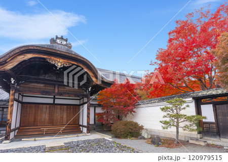 秋の京都　妙覺寺（妙覚寺）　真っ赤なモミジと大玄関 120979515