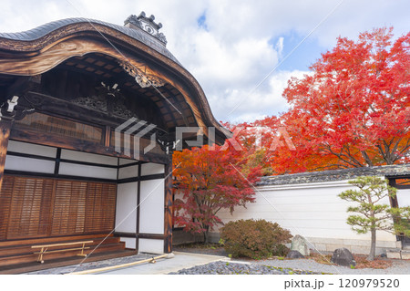 秋の京都　妙覺寺（妙覚寺）　真っ赤なモミジと大玄関 120979520