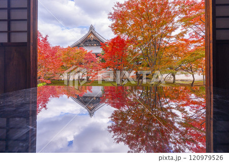 秋の京都　妙覺寺（妙覚寺）　紅葉に包まれた法姿園 120979526