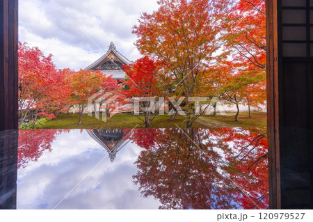 秋の京都　妙覺寺（妙覚寺）　紅葉に包まれた法姿園 120979527