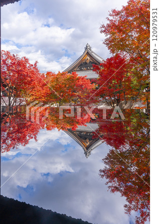 秋の京都 妙覺寺(妙覚寺) 紅葉に包まれた法姿園 秋の京都 妙覺寺(妙覚寺) 紅葉に包まれた法姿園 120979531