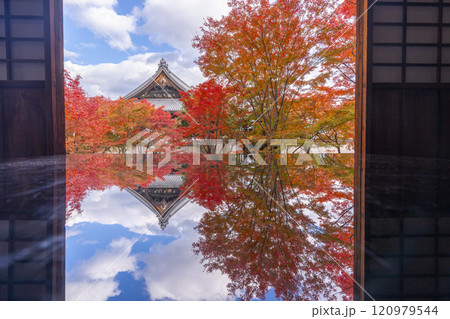 秋の京都 妙覺寺(妙覚寺) 紅葉に包まれた法姿園 秋の京都 妙覺寺(妙覚寺) 紅葉に包まれた法姿園 120979544