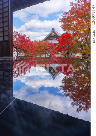 秋の京都 妙覺寺(妙覚寺) 紅葉に包まれた法姿園 秋の京都 妙覺寺(妙覚寺) 紅葉に包まれた法姿園 120979547
