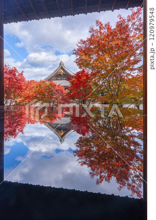 秋の京都 妙覺寺(妙覚寺) 紅葉に包まれた法姿園 秋の京都 妙覺寺(妙覚寺) 紅葉に包まれた法姿園 120979548