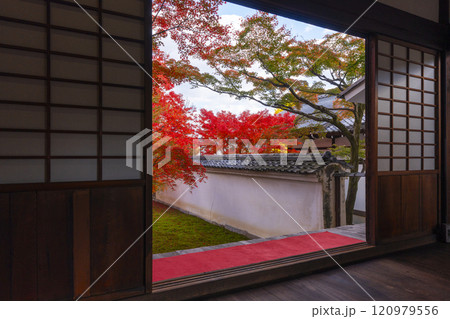 秋の京都　妙覺寺（妙覚寺）　紅葉に包まれた法姿園 120979556