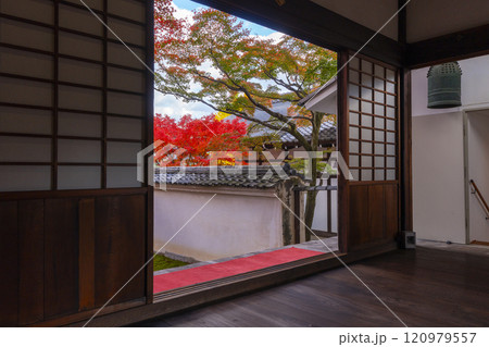 秋の京都　妙覺寺（妙覚寺）　紅葉に包まれた法姿園 120979557