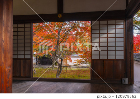 秋の京都　妙覺寺（妙覚寺）　紅葉に包まれた法姿園 120979562