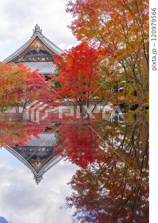 秋の京都　妙覺寺（妙覚寺）　紅葉に包まれた法姿園 120979566