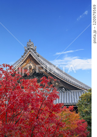 秋の京都　妙覺寺（妙覚寺）　紅葉に包まれた祖師堂 120979569