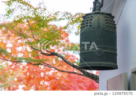 秋の京都 妙覺寺(妙覚寺) 紅葉と梵鐘 秋の京都 妙覺寺(妙覚寺) 紅葉と梵鐘 120979570