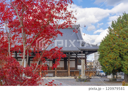 秋の京都 妙覺寺(妙覚寺) 紅葉に包まれた祖師堂 秋の京都 妙覺寺(妙覚寺) 紅葉に包まれた祖師堂 120979581