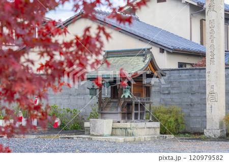 秋の京都　妙覺寺（妙覚寺）　紅葉に包まれた日像の供養塔 120979582