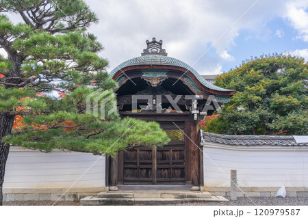 秋の京都 妙覺寺(妙覚寺) 唐門 秋の京都 妙覺寺(妙覚寺) 唐門 120979587
