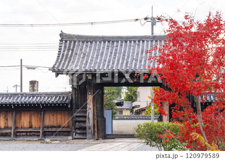 秋の京都　妙覺寺（妙覚寺）　真っ赤なモミジと大門 120979589