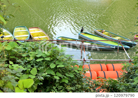 飯田橋のお濠に浮かぶボートと鵜 飯田橋のお濠に浮かぶボートと鵜 120979790