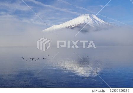 山中湖畔から望む冬の富士と朝霧 120980025