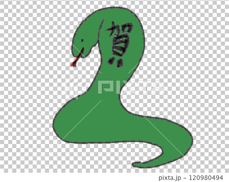 鉛筆画風の蛇のイラスト 120980494