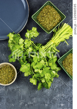 Fresh and dry coriander cilantro. 120980595
