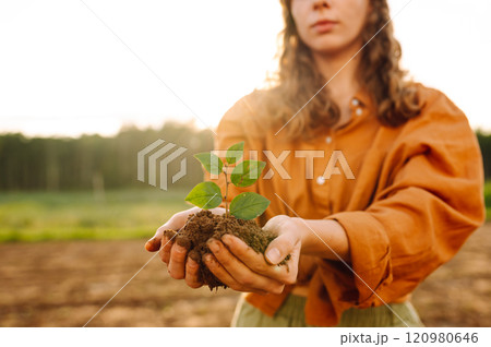A woman agronomist protects a young plant in the field. Organic gardening, ecology concept. A woman agronomist protects a young plant in the field. Organic gardening, ecology concept. 120980646
