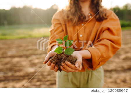 A woman agronomist protects a young plant in the field. Organic gardening, ecology concept. A woman agronomist protects a young plant in the field. Organic gardening, ecology concept. 120980647