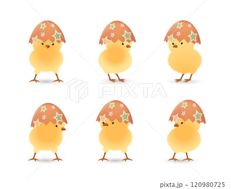Chicks in broken star easter eggs top set 02 Chicks in broken star easter eggs top set 02 120980725