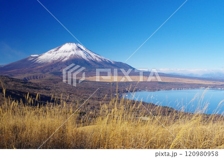 鉄砲木ノ頭から望む冬の山中湖と富士 120980958