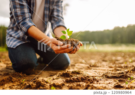 Man in a shirt holds a green plant in his hands. Caring for the environment. Man in a shirt holds a green plant in his hands. Caring for the environment. 120980964