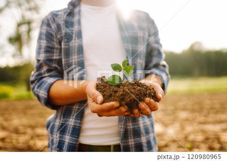 Man in a shirt holds a green plant in his hands. Caring for the environment. Man in a shirt holds a green plant in his hands. Caring for the environment. 120980965