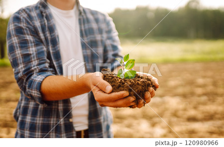 Man in a shirt holds a green plant in his hands. Caring for the environment. Man in a shirt holds a green plant in his hands. Caring for the environment. 120980966