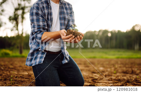 Man in a shirt holds a green plant in his hands. Caring for the environment. Man in a shirt holds a green plant in his hands. Caring for the environment. 120981018