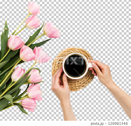 coffee with pink tulips on white background 120981348