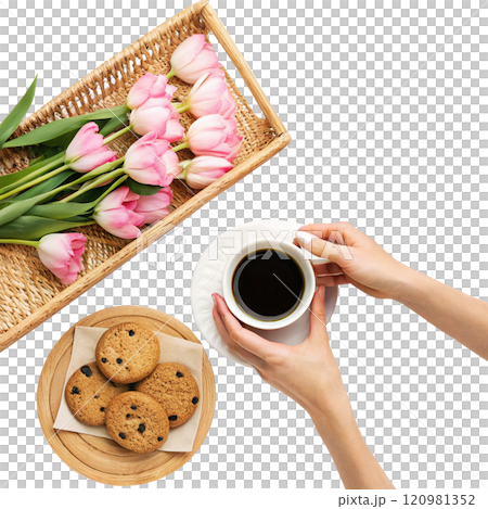 cup of coffee with pink tulips on white background cup of coffee with pink tulips on white background 120981352