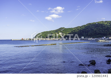 熱海 網代漁港全景 静岡県熱海市 熱海 網代漁港全景 静岡県熱海市 120981441