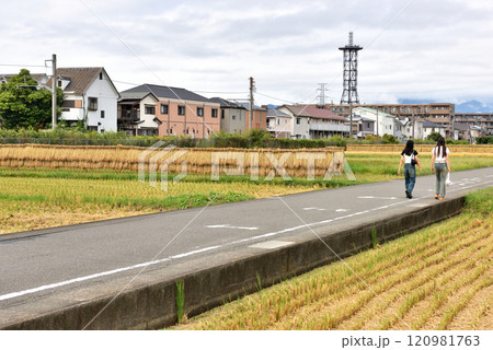 JR相模線沿いの田んぼの田園風景 120981763