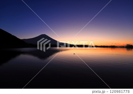 夜明け前の田貫湖 120981778