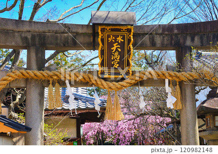 水火天満宮 鳥居と美しい枝垂れ桜(京都府京都市上京区) 水火天満宮 鳥居と美しい枝垂れ桜(京都府京都市上京区) 120982148