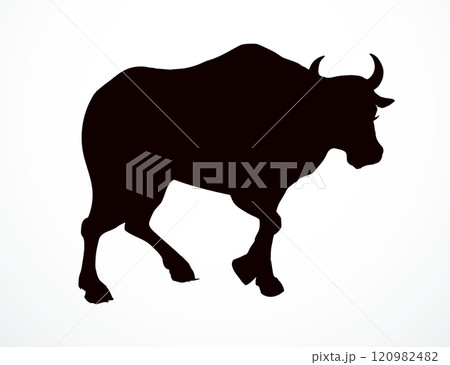 Vector drawing. Cute big cow 120982482