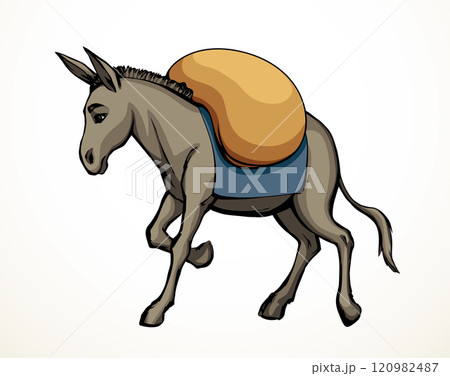Vector drawing. Cute old mule 120982487