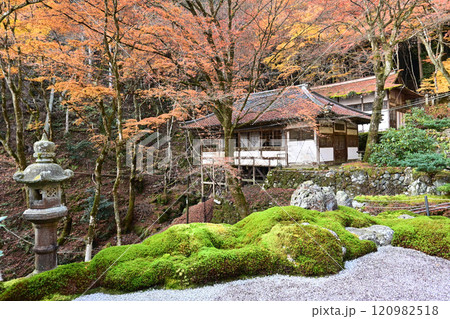 京都市左京区大原の奥座敷 古知谷阿弥陀寺 京都市左京区大原の奥座敷 古知谷阿弥陀寺 120982518