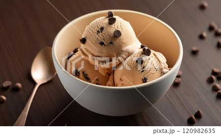 カップに入ったチョコチップアイスクリーム カップに入ったチョコチップアイスクリーム 120982635